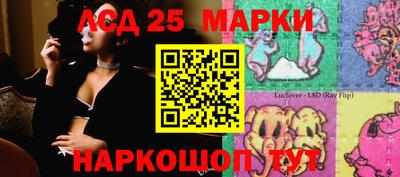 гашик Шебекино