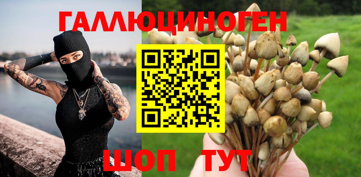 Альметьевск  хочу   Вход с VPN  Галлюциногенные грибы мухоморы 